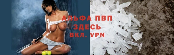Альфа ПВП Бородино