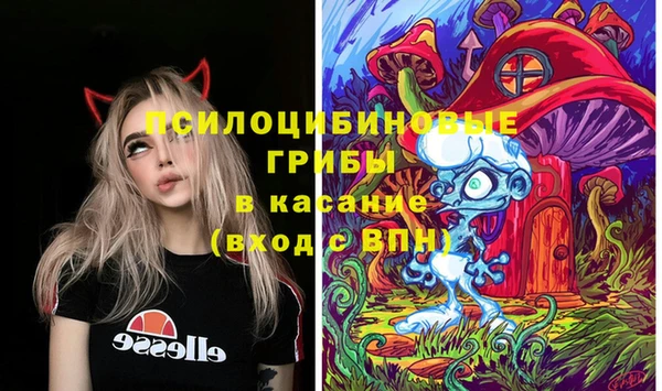 Альфа ПВП Бородино