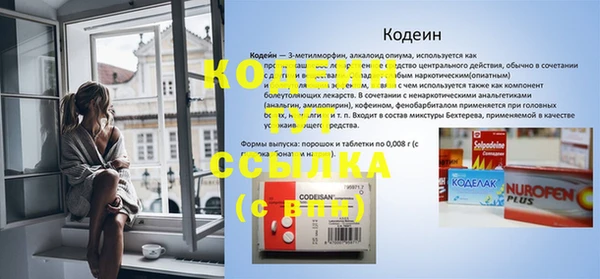 Альфа ПВП Бородино